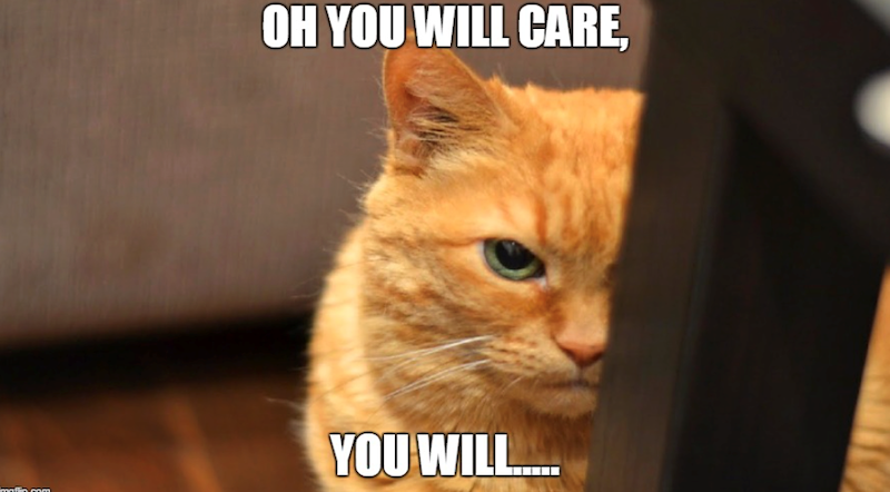 OH YOU WILL CARE, YOU WILL......