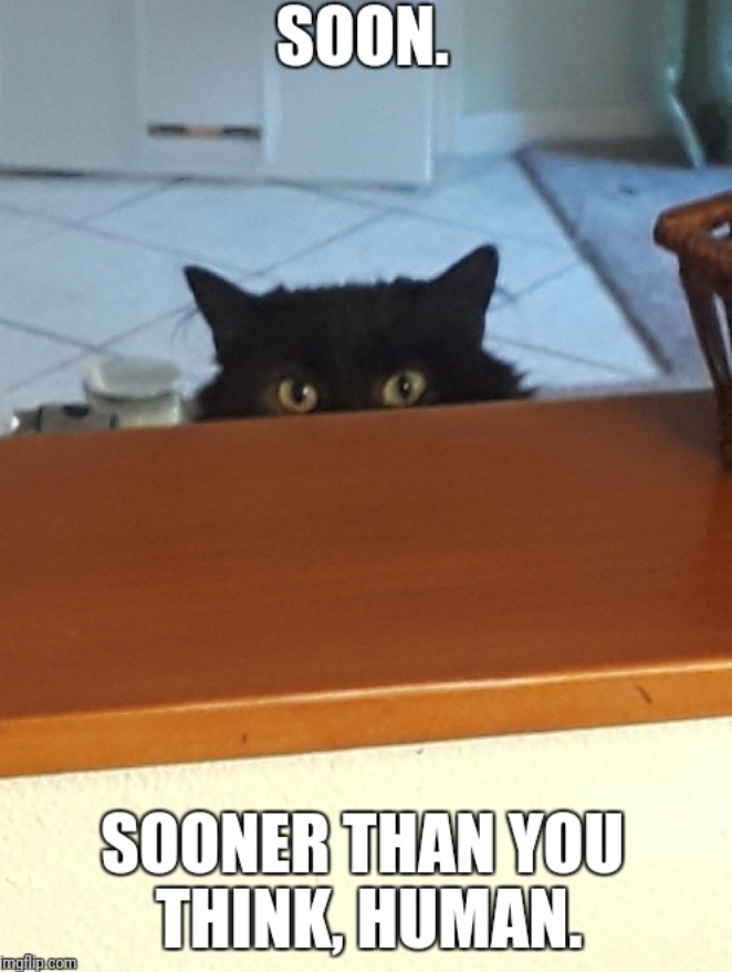 mgflip.com SOON. SOONER THAN YOU THINK, HUMAN.