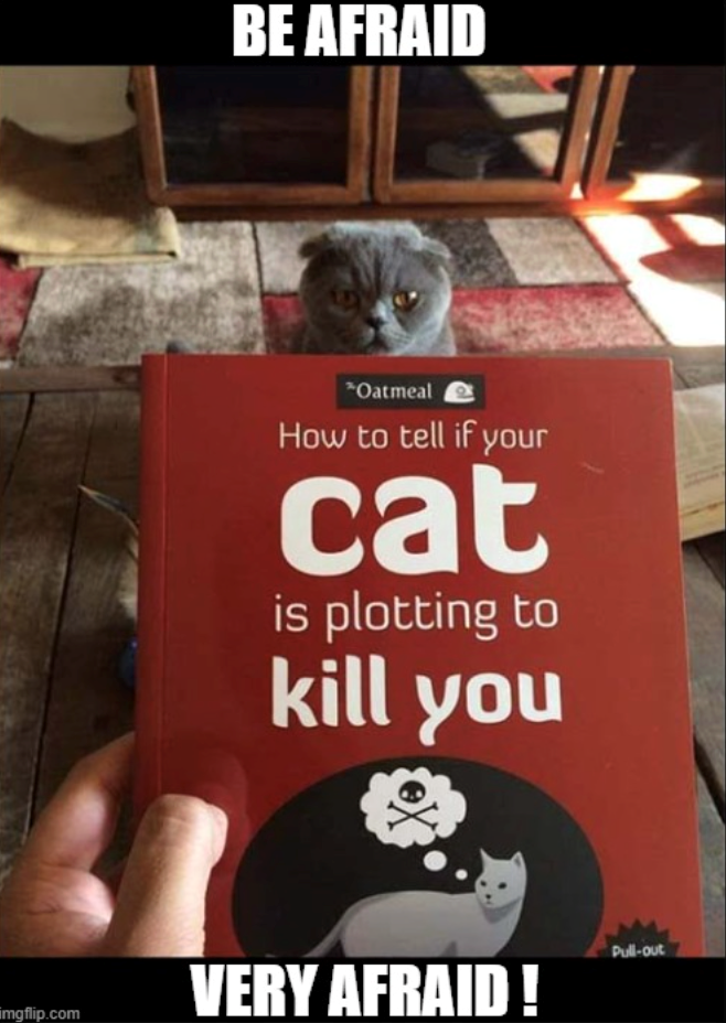 imgflip.com BE AFRAID "Oatmeal How to tell if your cat is plotting to kill you VERY AFRAID! Pull-out