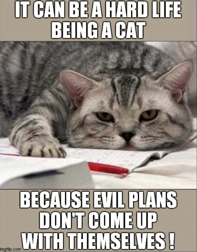IT CAN BE A HARD LIFE BEING A CAT mgflip.com BECAUSE EVIL PLANS DON'T COME UP WITH THEMSELVES!