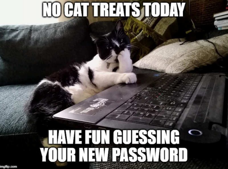 NO CAT TREATS TODAY imgflip.com HAVE FUN GUESSING YOUR NEW PASSWORD