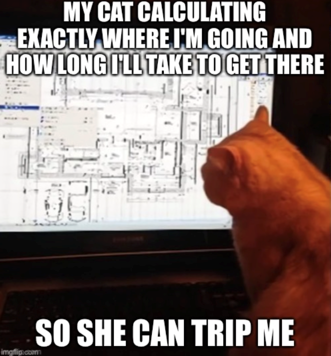 MY CAT CALCULATING EXACTLY WHERE I'M GOING AND HOW LONG I'LL TAKE TO GET THERE imgflip.com SO SHE CAN TRIP ME
