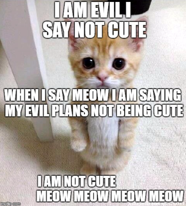 I AM EVILI SAY NOT CUTE WHEN I SAY MEOW I AM SAYING MY EVIL PLANS NOT BEING CUTE mmgilp.com I AM NOT CUTE MEOW MEOW MEOW MEOW