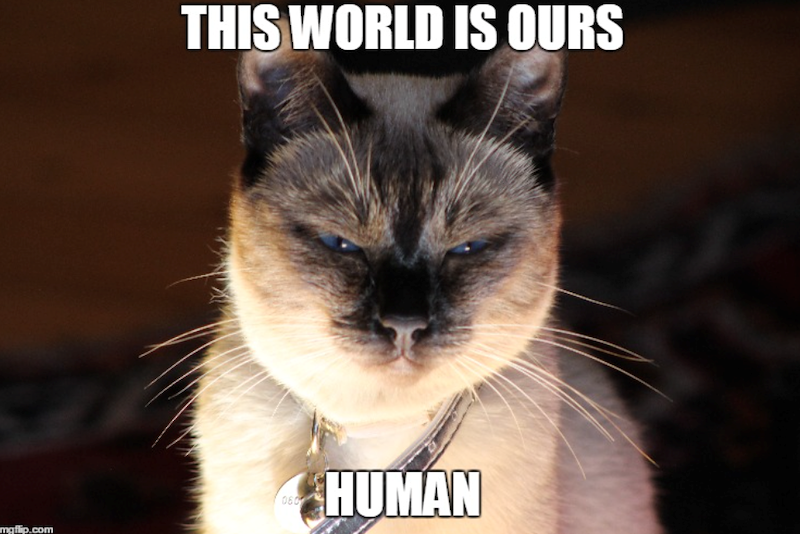 mgflip.com THIS WORLD IS OURS 060 HUMAN