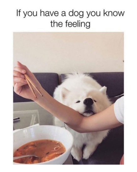 If you have a dog you know the feeling