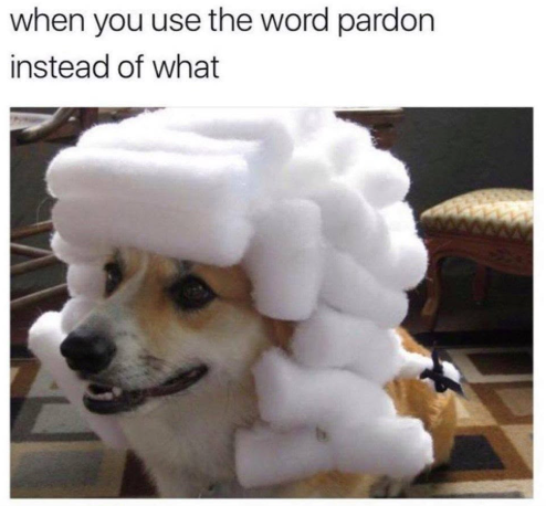 when you use the word pardon instead of what