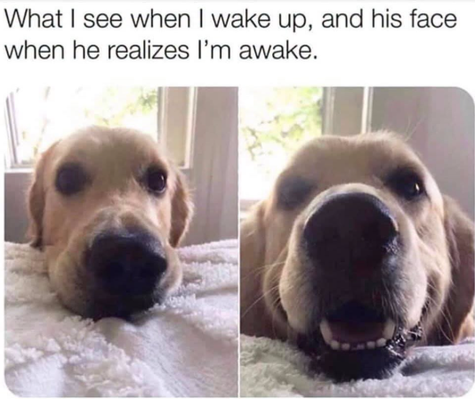 What I see when I wake up, and his face when he realizes I'm awake.