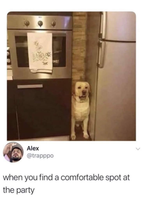 Alex * @trapppo when you find a comfortable spot at the party