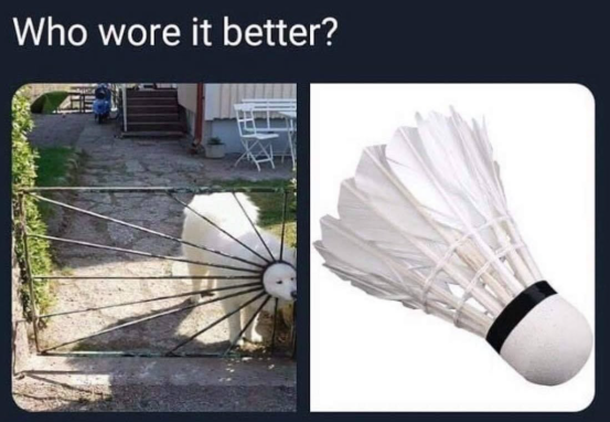 Who wore it better?