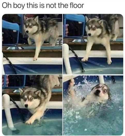 Oh boy this is not the floor