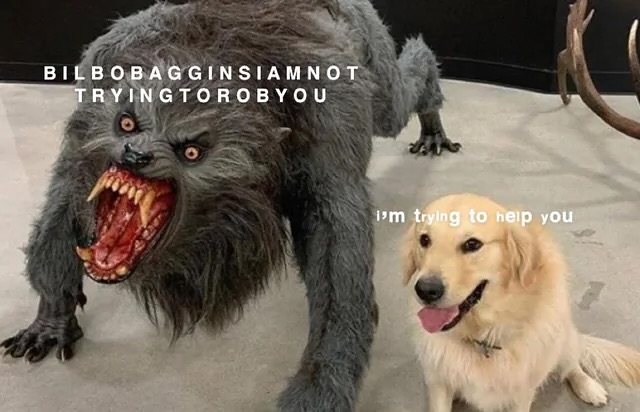 BILBOBAGGINSIAMNOT TRYINGTOROBY OU i'm trying to help you