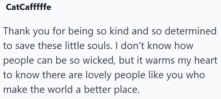 CatCafffffe Thank you for being so kind and so determined to save these little souls. I don't know how people can be so wicked, but it warms my heart to know there are lovely people like you who make the world a better place.