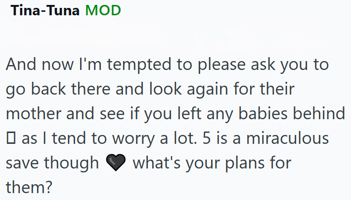 Tina-Tuna MOD And now I'm tempted to please ask you to go back there and look again for their mother and see if you left any babies behind □ as I tend to worry a lot. 5 is a miraculous what's your plans for save though them?