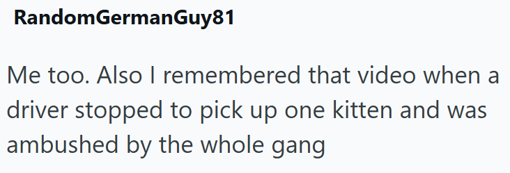 RandomGermanGuy81 Me too. Also I remembered that video when a driver stopped to pick up one kitten and was ambushed by the whole gang