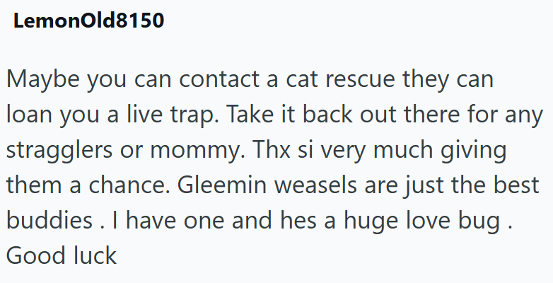 LemonOld8150 Maybe you can contact a cat rescue they can loan you a live trap. Take it back out there for any stragglers or mommy. Thx si very much giving them a chance. Gleemin weasels are just the best buddies. I have one and hes a huge love bug. Good luck