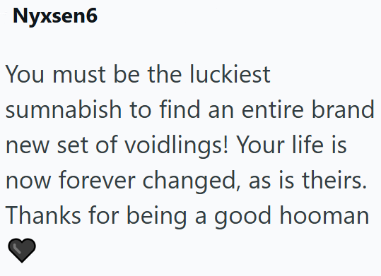 Nyxsen6 You must be the luckiest sumnabish to find an entire brand new set of voidlings! Your life is now forever changed, as is theirs. Thanks for being a good hooman