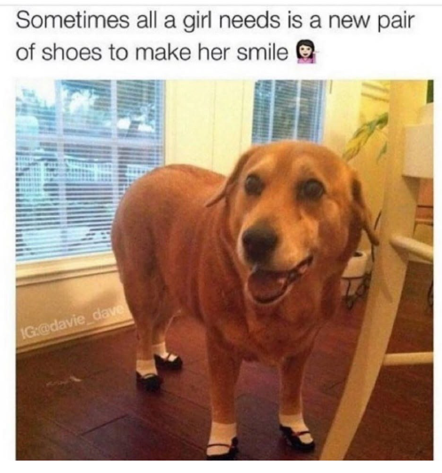 Sometimes all a girl needs is a new pair of shoes to make her smile IG:@davie_dave