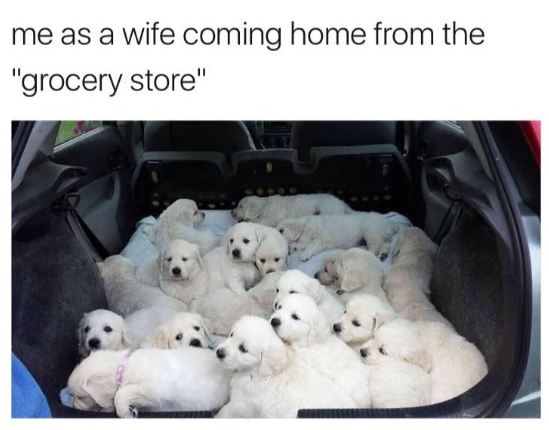 me as a wife coming home from the "grocery store"