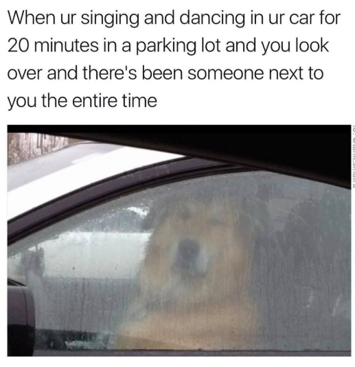 When ur singing and dancing in ur car for 20 minutes in a parking lot and you look over and there's been someone next to you the entire time