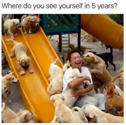 Where do you see yourself in 5 years?