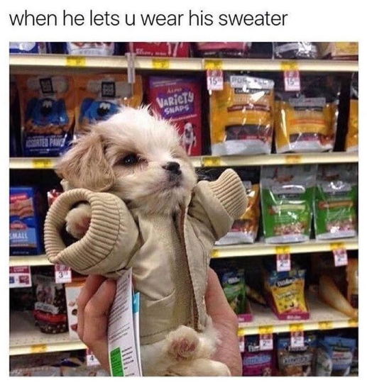 when he lets u wear his sweater VARIETY SNAPS