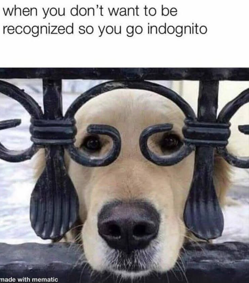 when you don't want to be recognized so you go indognito made with mematic