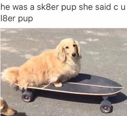 he was a sk8er pup she said cu 18er pup