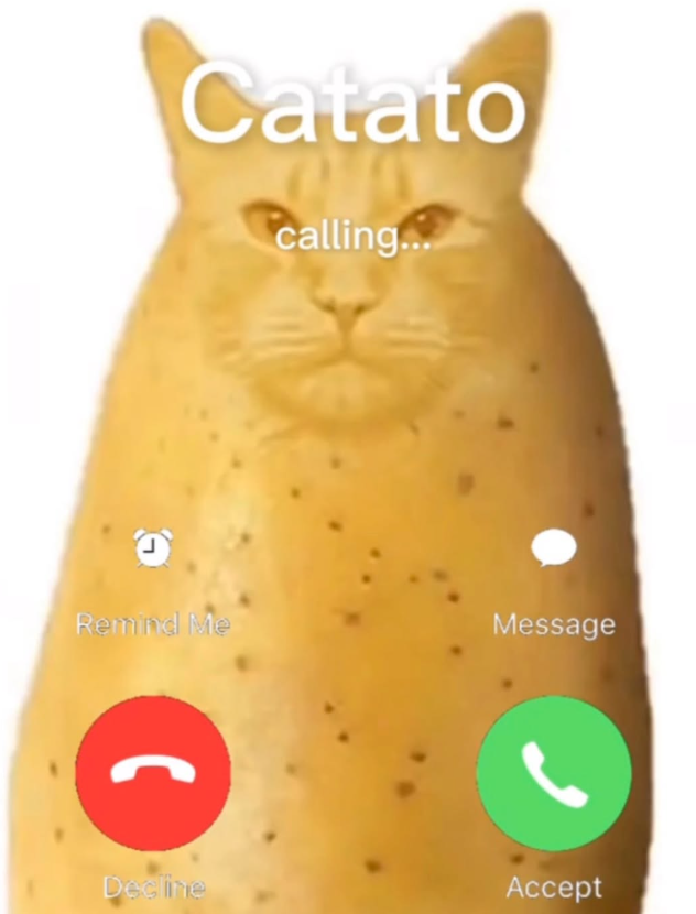 Catato calling... Remind Me Message Decline Accept