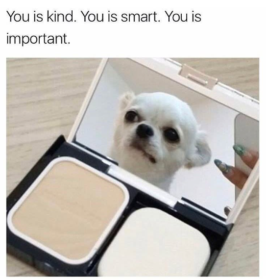 You is kind. You is smart. You is important.