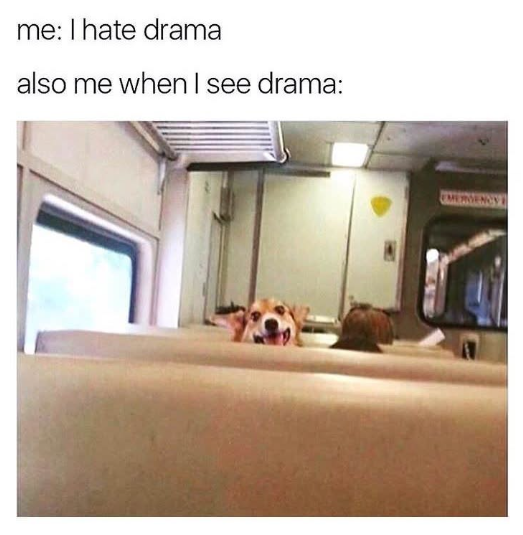 me: I hate drama also me when I see drama: