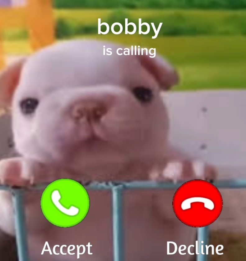 P bobby is calling Accept Decline