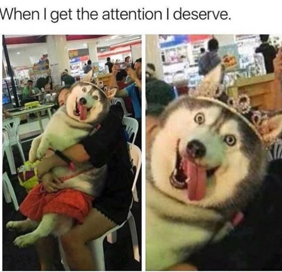 When I get the attention I deserve.