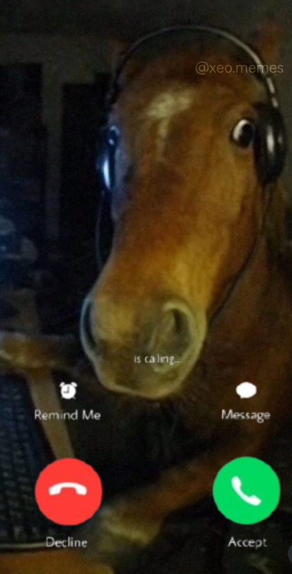 Remind Me is ca ling.. @xeo.memes Message Decline Accept