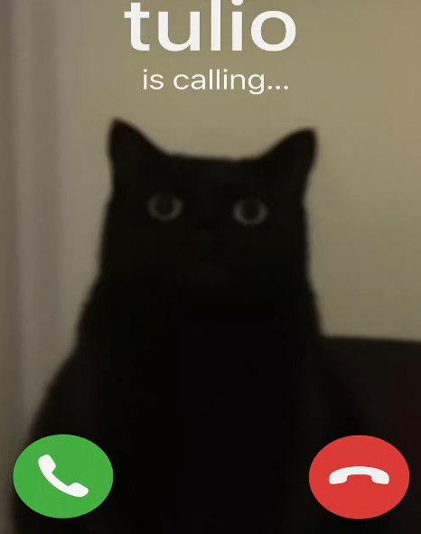 tulio is calling... J
