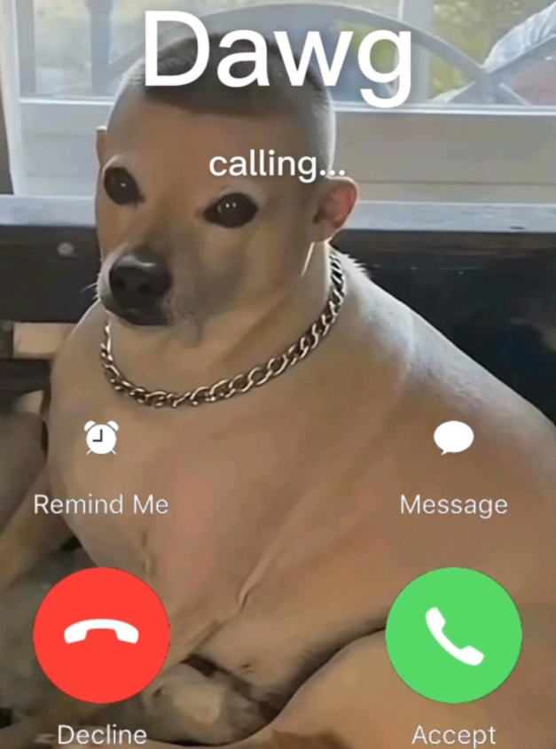Dawg calling... Remind Me Message Decline Accept