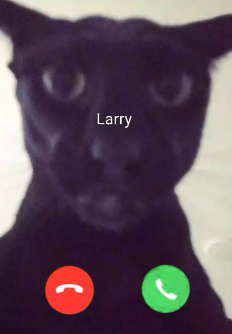 Larry