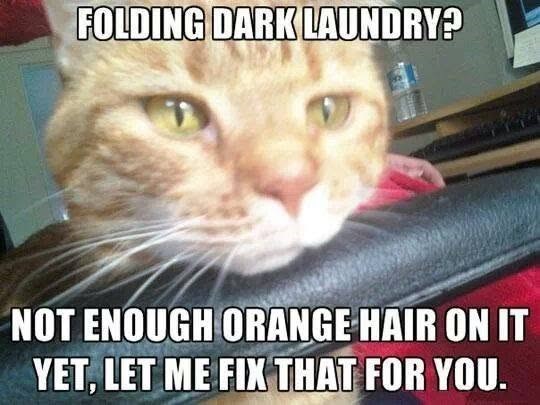 FOLDING DARK LAUNDRY? NOT ENOUGH ORANGE HAIR ON IT YET, LET ME FIX THAT FOR YOU.