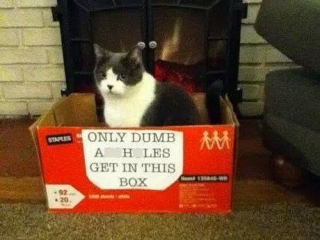 STAPLES ONLY DUMB M 92. 20. AH LES GET IN THIS BOX