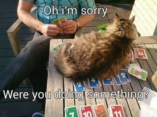 Oh i'm sorry ZL 2 Were you doing something? 10 10 SKIP BO