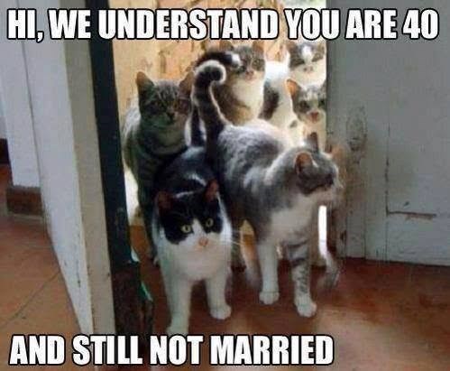 HI, WE UNDERSTAND YOU ARE 40 AND STILL NOT MARRIED