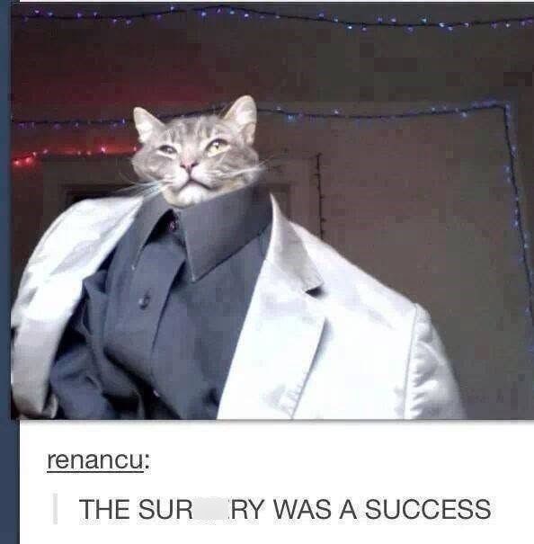renancu: THE SUR RY WAS A SUCCESS