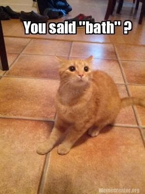 You said "bath"? Memecreator.org