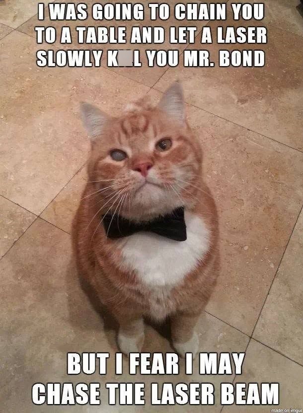 I WAS GOING TO CHAIN YOU TO A TABLE AND LET A LASER SLOWLY KOL YOU MR. BOND BUT I FEAR I MAY CHASE THE LASER BEAM made on imgur