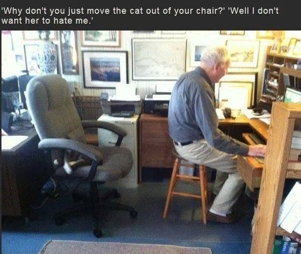 'Why don't you just move the cat out of your chair?' 'Well I don't want her to hate me.'