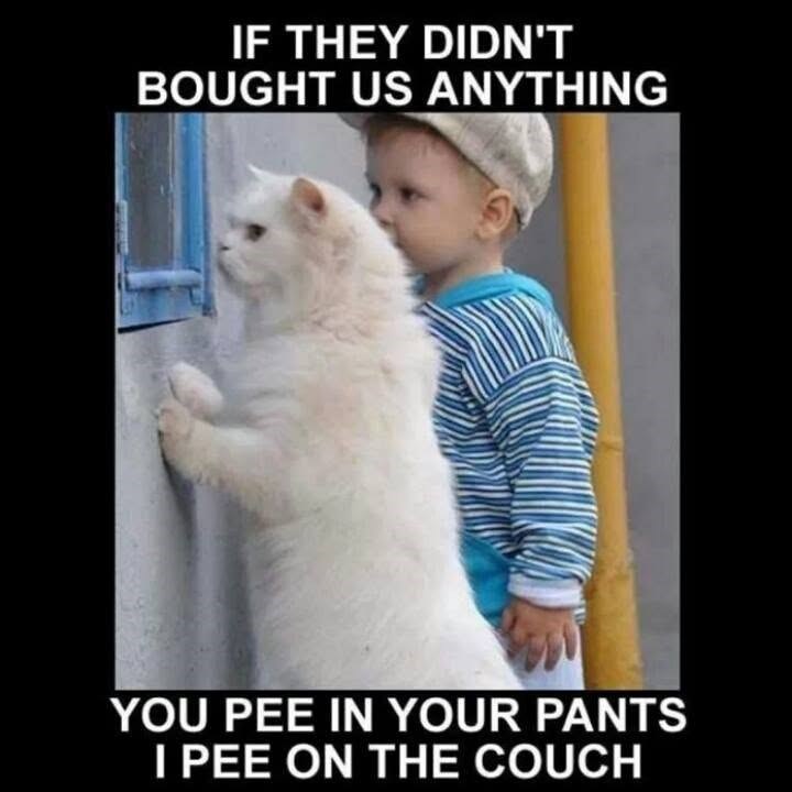 IF THEY DIDN'T BOUGHT US ANYTHING YOU PEE IN YOUR PANTS I PEE ON THE COUCH