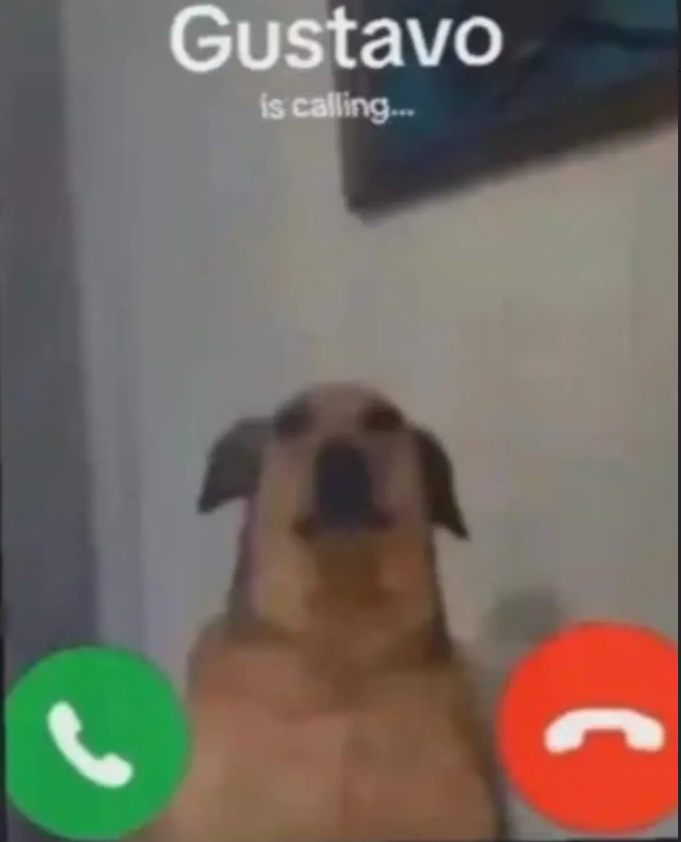 Gustavo is calling...