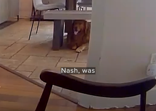 Nash, was