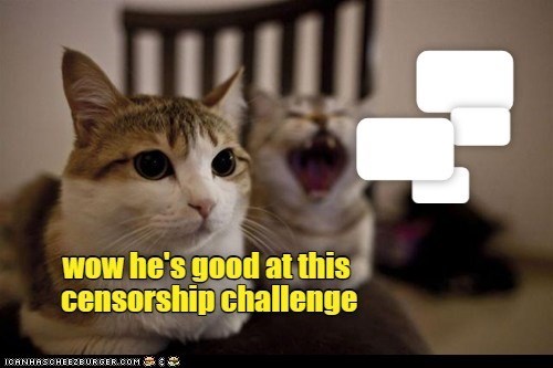 wow he's good at this censorship challenge ICANHASCHEEZBURGER.COM