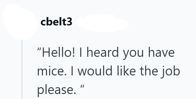 cbelt3 "Hello! I heard you have mice. I would like the job please.