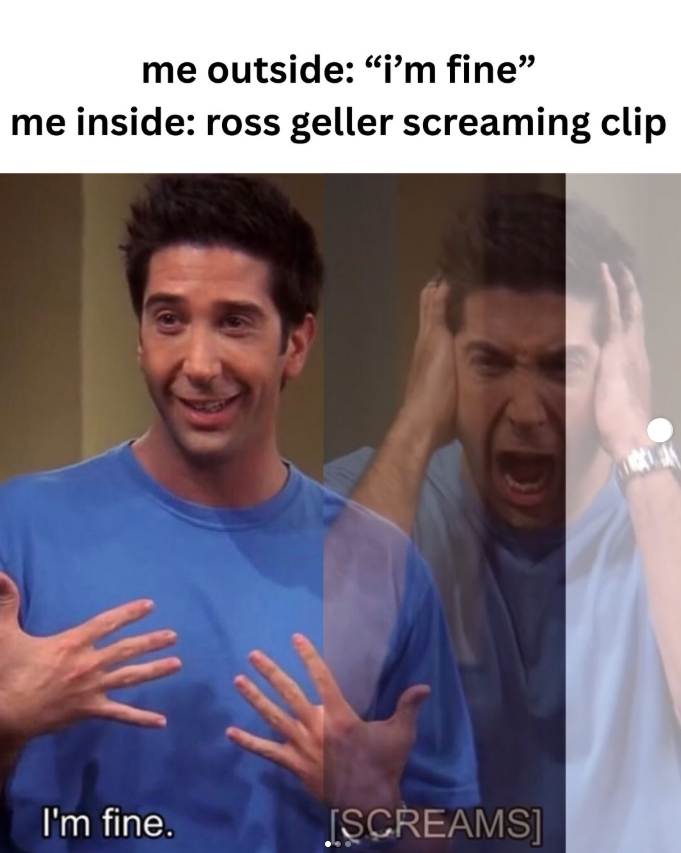 me outside: "i'm fine" me inside: ross geller screaming clip I'm fine. [SCREAMS]
